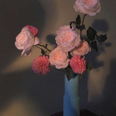 bob·体育综合appapp下载